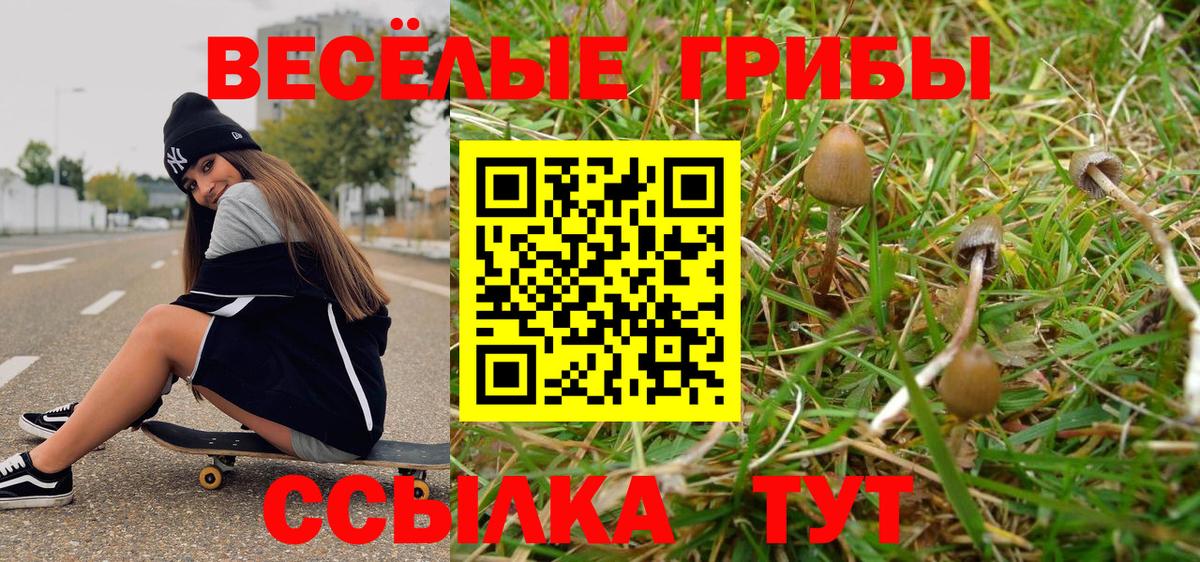 Галлюциногенные грибы Psilocybe Лобня